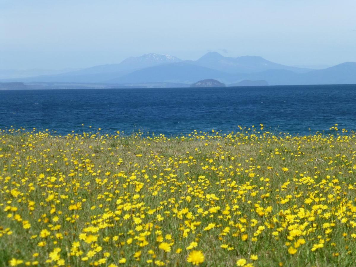 You Little Beauty - Wharewaka Beach Magic Taupo Exterior photo